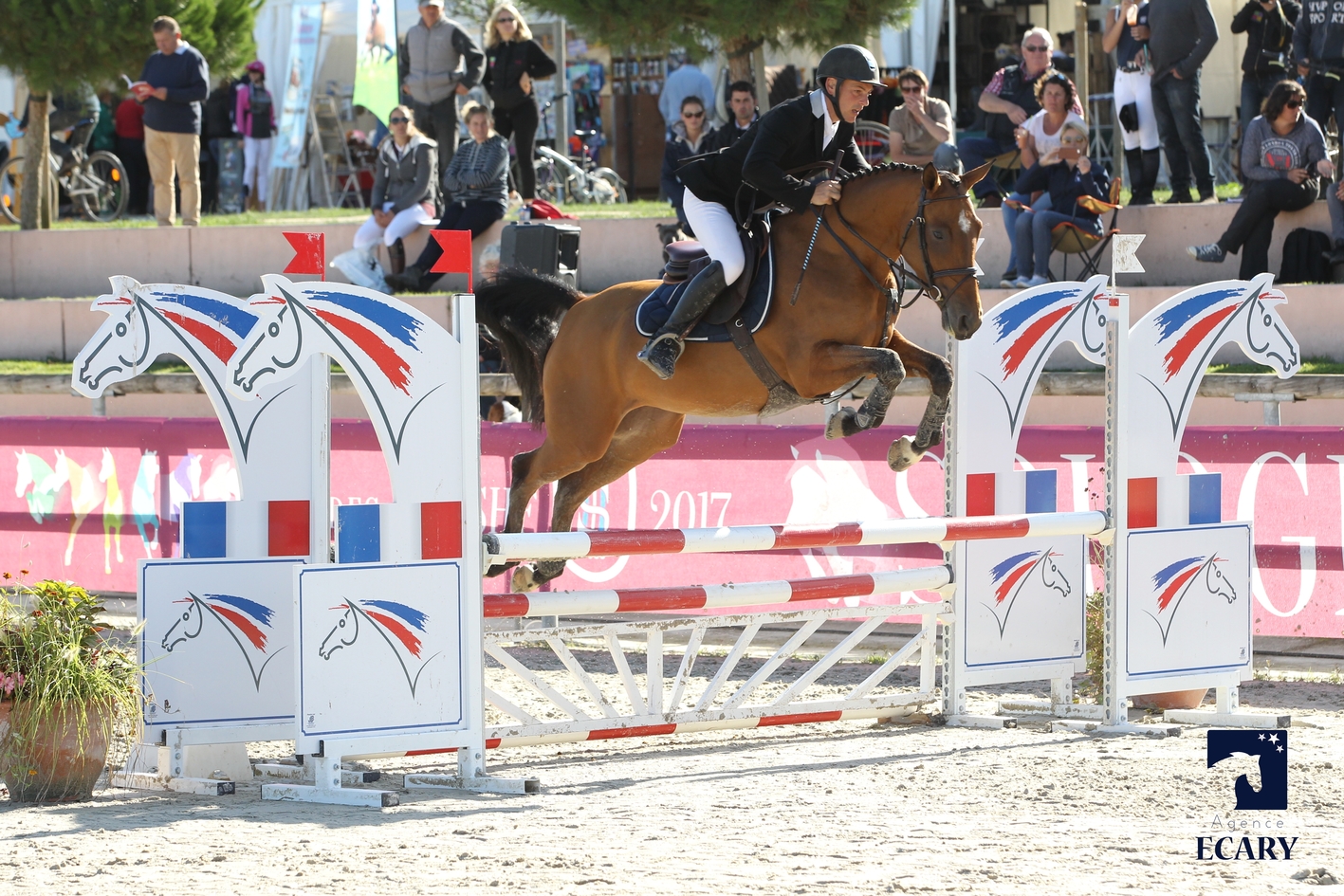 17/08/2017 ; Lamotte Beuvron ; Sologn'Pony