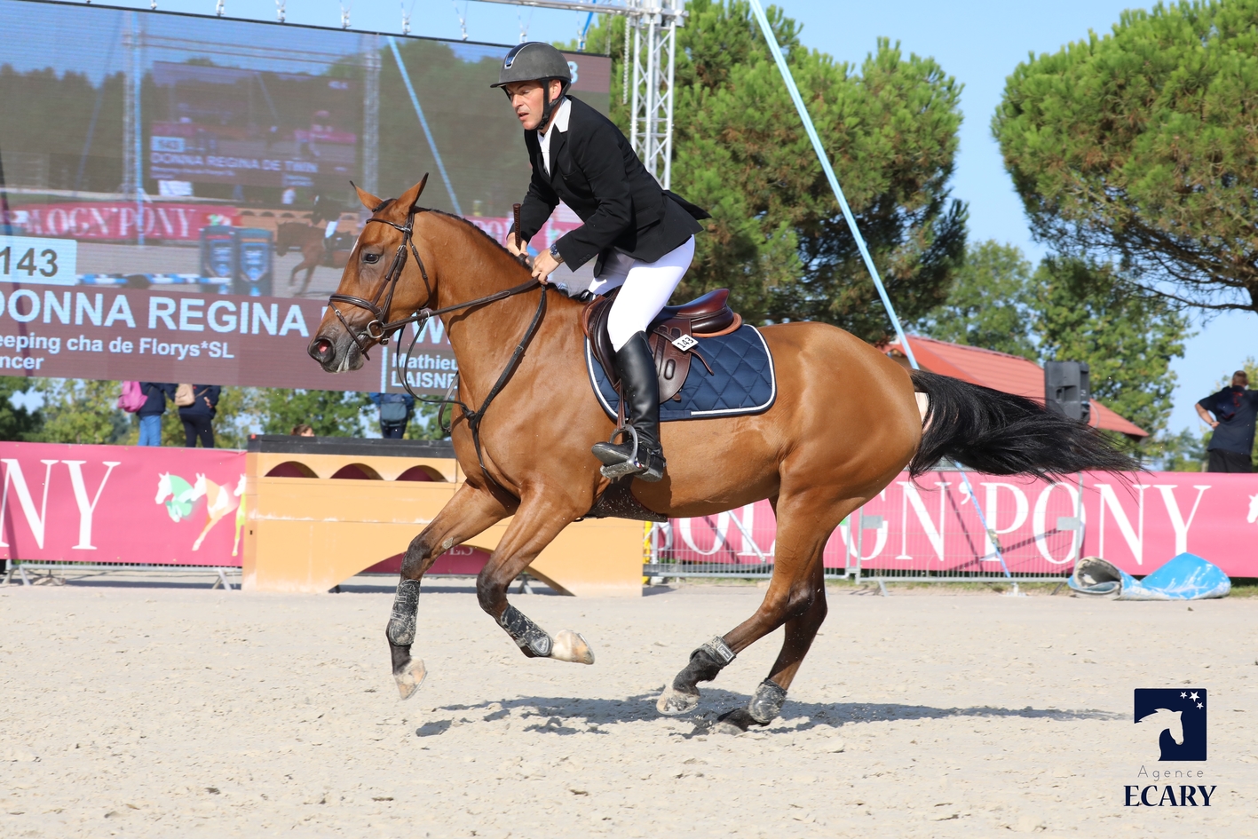 17/08/2017 ; Lamotte Beuvron ; Sologn'Pony