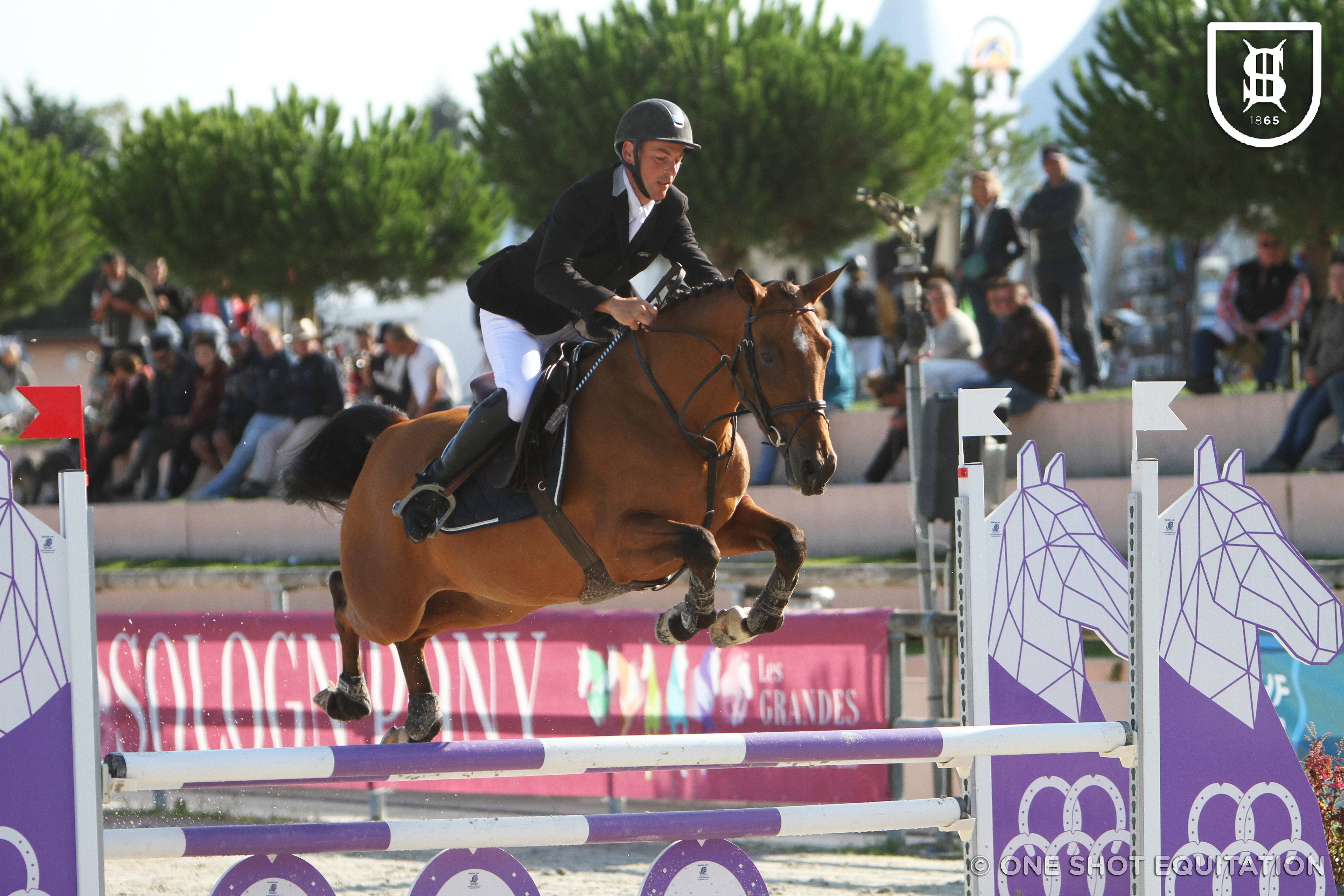 N201741007-E17-CDONNA REGINA DE TWIN-D143-4-P8400.JPG